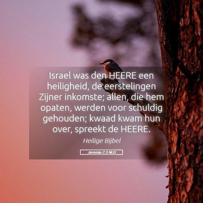 Picture 05 - Jeremia 2:3 NLD - Israel was den HEERE een heiligheid, de - Bible Verse Picture