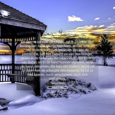 Picture 05 - Jeremia 21:7 NLD - En daarna spreekt de HEERE, zal Ik Zedekia, den - Bible Verse Picture