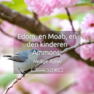 Picture 05 - Jeremia 25:21 NLD - Edom, en Moab, en den kinderen - Bible Verse Picture