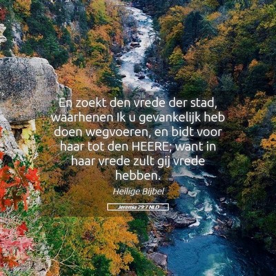 Picture 05 - Jeremia 29:7 NLD - En zoekt den vrede der stad, waarhenen Ik u - Bible Verse Picture