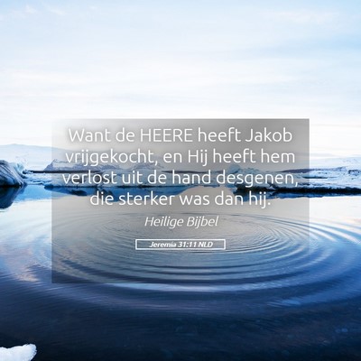 Picture 05 - Jeremia 31:11 NLD - Want de HEERE heeft Jakob vrijgekocht, en Hij - Bible Verse Picture