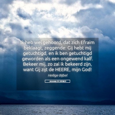 Picture 05 - Jeremia 31:18 NLD - Ik heb wel gehoord, dat zich Efraim beklaagt, - Bible Verse Picture