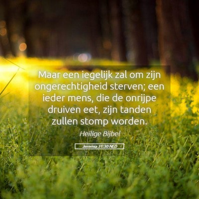 Picture 05 - Jeremia 31:30 NLD - Maar een iegelijk zal om zijn ongerechtigheid - Bible Verse Picture