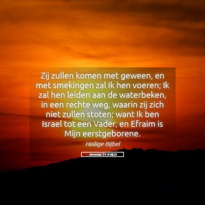 Picture 05 - Jeremia 31:9 NLD - Zij zullen komen met geween, en met smekingen zal - Bible Verse Picture