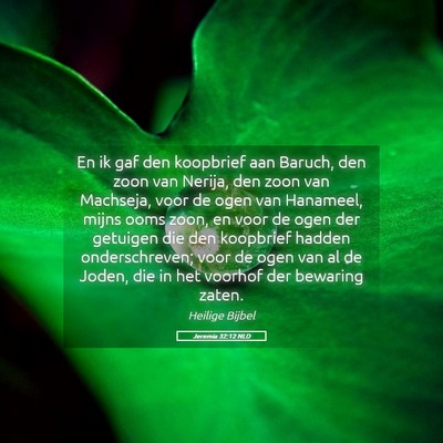 Picture 05 - Jeremia 32:12 NLD - En ik gaf den koopbrief aan Baruch, den zoon van - Bible Verse Picture