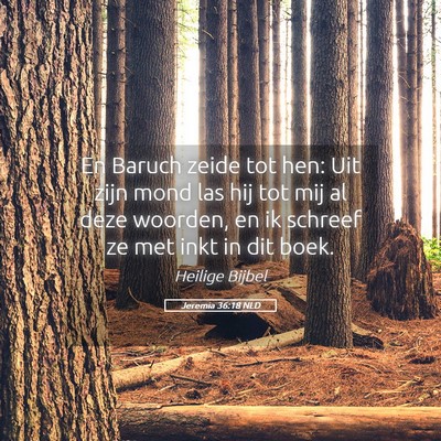 Picture 05 - Jeremia 36:18 NLD - En Baruch zeide tot hen: Uit zijn mond las hij - Bible Verse Picture