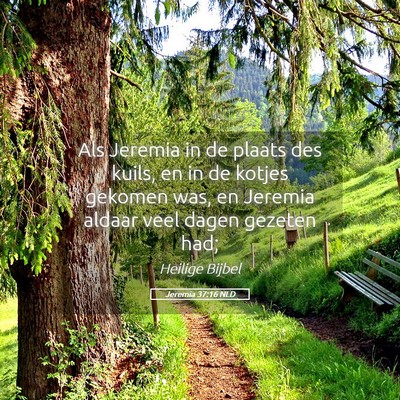 Picture 05 - Jeremia 37:16 NLD - Als Jeremia in de plaats des kuils, en in de - Bible Verse Picture