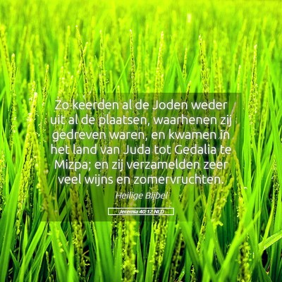 Picture 05 - Jeremia 40:12 NLD - Zo keerden al de Joden weder uit al de plaatsen, - Bible Verse Picture
