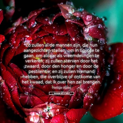 Picture 05 - Jeremia 42:17 NLD - Zo zullen al de mannen zijn, die hun aangezichten - Bible Verse Picture