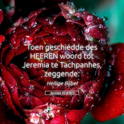 Picture 05 - Jeremia 43:8 NLD - Toen geschiedde des HEEREN woord tot Jeremia te - Bible Verse Picture