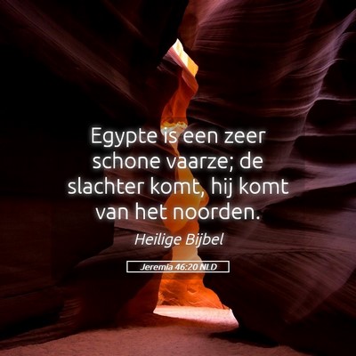 Picture 05 - Jeremia 46:20 NLD - Egypte is een zeer schone vaarze; de slachter - Bible Verse Picture