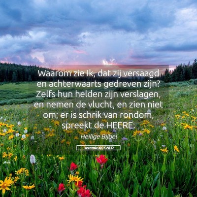 Picture 05 - Jeremia 46:5 NLD - Waarom zie Ik, dat zij versaagd en achterwaarts - Bible Verse Picture