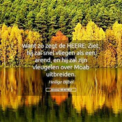 Picture 05 - Jeremia 48:40 NLD - Want zo zegt de HEERE: Ziet, hij zal snel vliegen - Bible Verse Picture