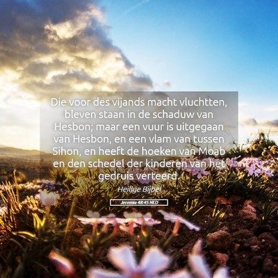 Picture 05 - Jeremia 48:45 NLD - Die voor des vijands macht vluchtten, bleven - Bible Verse Picture
