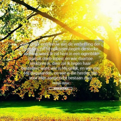 Picture 05 - Jeremia 49:19 NLD - Ziet, gelijk een leeuw van de verheffing der - Bible Verse Picture