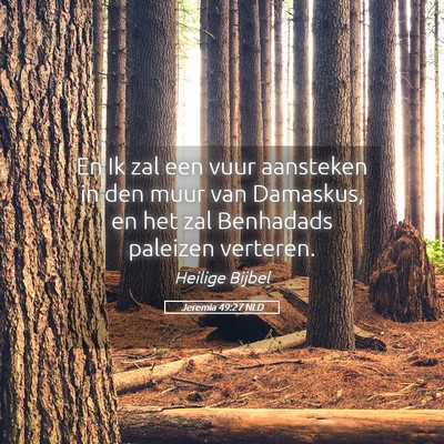 Picture 05 - Jeremia 49:27 NLD - En Ik zal een vuur aansteken in den muur van - Bible Verse Picture