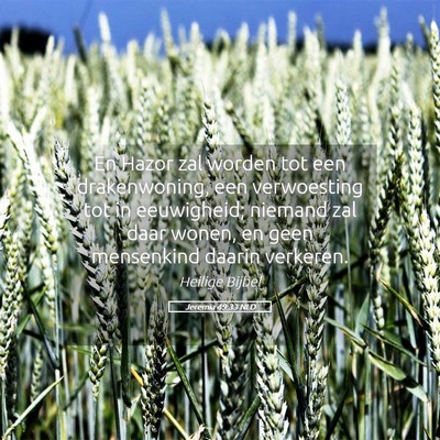 Picture 05 - Jeremia 49:33 NLD - En Hazor zal worden tot een drakenwoning, een - Bible Verse Picture