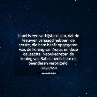 Picture 05 - Jeremia 50:17 NLD - Israel is een verbijsterd lam, dat de leeuwen - Bible Verse Picture