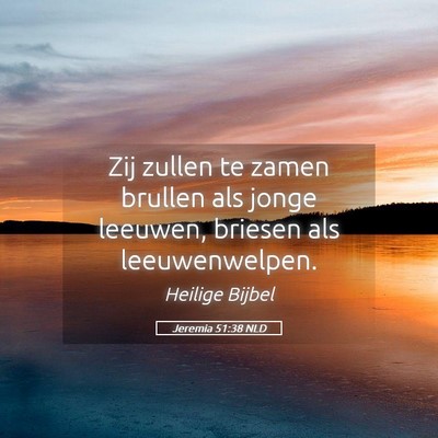 Picture 05 - Jeremia 51:38 NLD - Zij zullen te zamen brullen als jonge leeuwen, - Bible Verse Picture