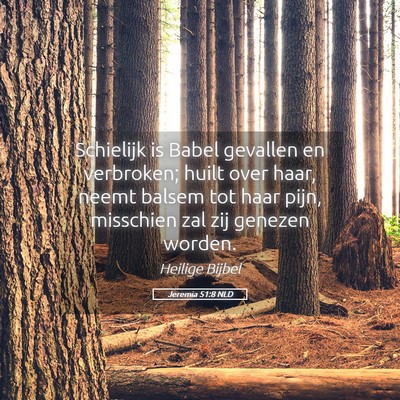 Picture 05 - Jeremia 51:8 NLD - Schielijk is Babel gevallen en verbroken; huilt - Bible Verse Picture