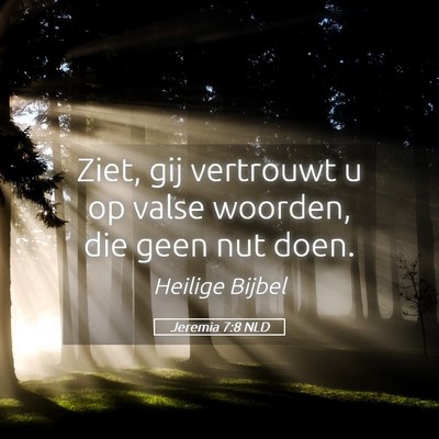 Picture 05 - Jeremia 7:8 NLD - Ziet, gij vertrouwt u op valse woorden, die geen - Bible Verse Picture