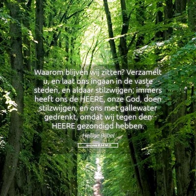 Picture 05 - Jeremia 8:14 NLD - Waarom blijven wij zitten? Verzamelt u, en laat - Bible Verse Picture