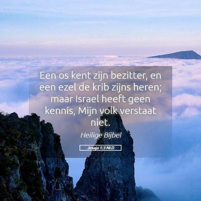 Picture 05 - Jesaja 1:3 NLD - Een os kent zijn bezitter, en een ezel de krib - Bible Verse Picture