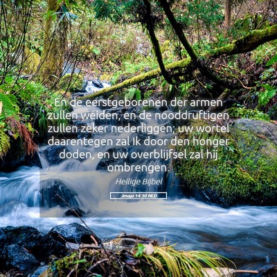 Picture 05 - Jesaja 14:30 NLD - En de eerstgeborenen der armen zullen weiden, en - Bible Verse Picture