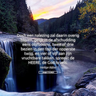 Picture 05 - Jesaja 17:6 NLD - Doch een nalezing zal daarin overig blijven, - Bible Verse Picture