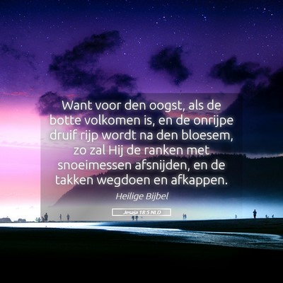 Picture 05 - Jesaja 18:5 NLD - Want voor den oogst, als de botte volkomen is, en - Bible Verse Picture