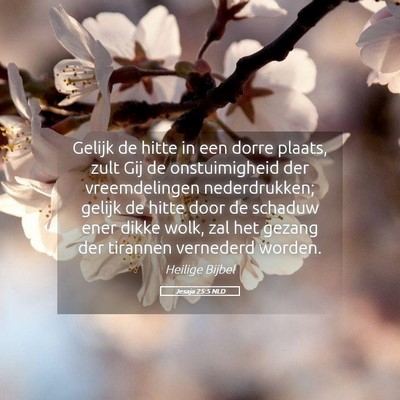 Picture 05 - Jesaja 25:5 NLD - Gelijk de hitte in een dorre plaats, zult Gij de - Bible Verse Picture