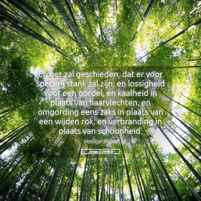 Picture 05 - Jesaja 3:24 NLD - En het zal geschieden, dat er voor specerij stank - Bible Verse Picture