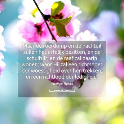 Picture 05 - Jesaja 34:11 NLD - Maar de roerdomp en de nachtuil zullen het - Bible Verse Picture