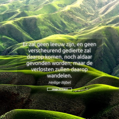 Picture 05 - Jesaja 35:9 NLD - Er zal geen leeuw zijn, en geen verscheurend - Bible Verse Picture