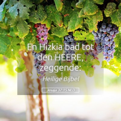 Picture 05 - Jesaja 37:15 NLD - En Hizkia bad tot den HEERE, - Bible Verse Picture
