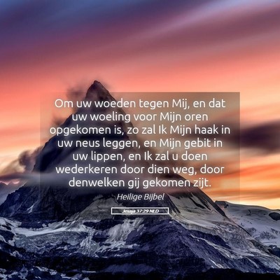 Picture 05 - Jesaja 37:29 NLD - Om uw woeden tegen Mij, en dat uw woeling voor - Bible Verse Picture