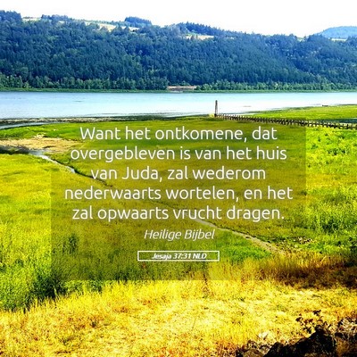Picture 05 - Jesaja 37:31 NLD - Want het ontkomene, dat overgebleven is van het - Bible Verse Picture