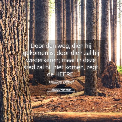 Picture 05 - Jesaja 37:34 NLD - Door den weg, dien hij gekomen is, door dien zal - Bible Verse Picture