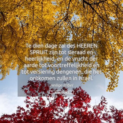 Picture 05 - Jesaja 4:2 NLD - Te dien dage zal des HEEREN SPRUIT zijn tot - Bible Verse Picture