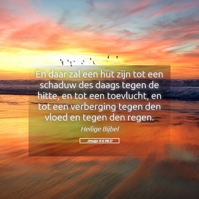 Picture 05 - Jesaja 4:6 NLD - En daar zal een hut zijn tot een schaduw des - Bible Verse Picture