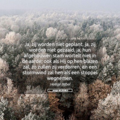 Picture 05 - Jesaja 40:24 NLD - Ja, zij worden niet geplant, ja, zij worden niet - Bible Verse Picture