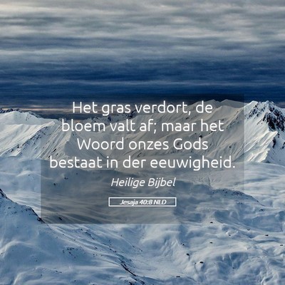 Picture 05 - Jesaja 40:8 NLD - Het gras verdort, de bloem valt af; maar het - Bible Verse Picture