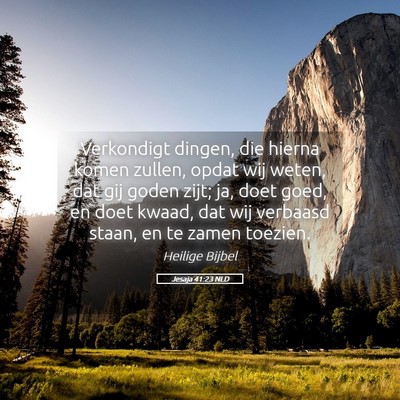 Picture 05 - Jesaja 41:23 NLD - Verkondigt dingen, die hierna komen zullen, opdat - Bible Verse Picture