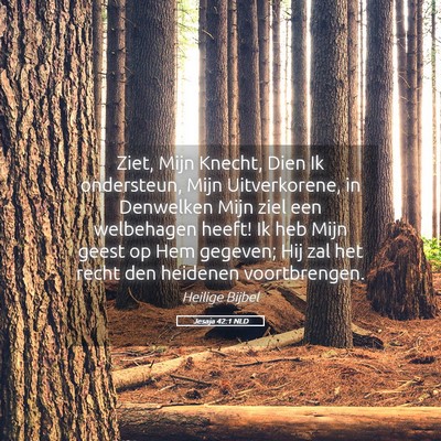 Picture 05 - Jesaja 42:1 NLD - Ziet, Mijn Knecht, Dien Ik ondersteun, Mijn - Bible Verse Picture