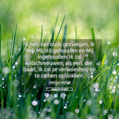 Picture 05 - Jesaja 42:14 NLD - Ik heb van ouds gezwegen, Ik heb Mij stil - Bible Verse Picture