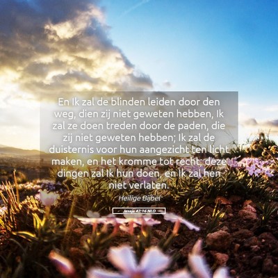Picture 05 - Jesaja 42:16 NLD - En Ik zal de blinden leiden door den weg, dien - Bible Verse Picture