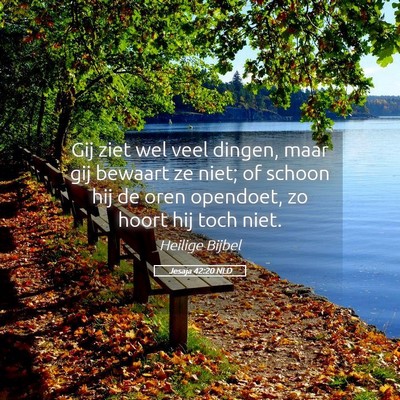 Picture 05 - Jesaja 42:20 NLD - Gij ziet wel veel dingen, maar gij bewaart ze - Bible Verse Picture