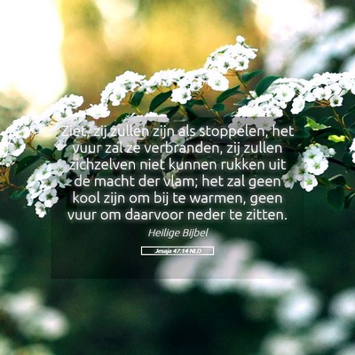 Picture 05 - Jesaja 47:14 NLD - Ziet, zij zullen zijn als stoppelen, het vuur zal - Bible Verse Picture