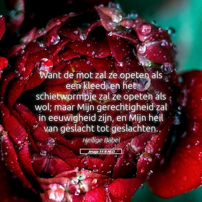 Picture 05 - Jesaja 51:8 NLD - Want de mot zal ze opeten als een kleed, en het - Bible Verse Picture