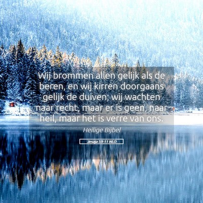 Picture 05 - Jesaja 59:11 NLD - Wij brommen allen gelijk als de beren, en wij - Bible Verse Picture